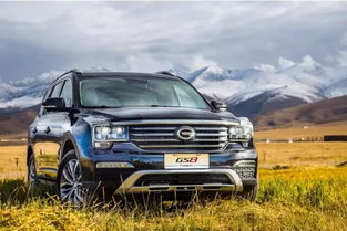 東莞市祺鑫汽車銷售服務 專業(yè)與信賴的汽車銷售伙伴